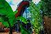 Thumbnail 33