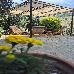 Thumbnail 22