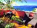 Thumbnail 44