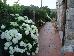 Thumbnail 28