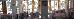 Thumbnail 36