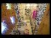 Thumbnail 59