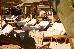 Thumbnail 247
