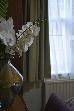 Thumbnail 55