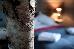 Thumbnail 26