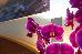 Thumbnail 42