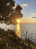 Thumbnail 37