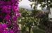 Thumbnail 23