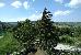 Thumbnail 24