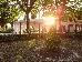 Thumbnail 20