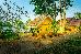 Thumbnail 19