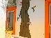 Thumbnail 31