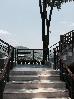 Thumbnail 30