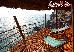 Thumbnail 23