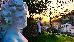 Thumbnail 145
