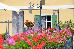 Thumbnail 26