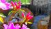 Thumbnail 19
