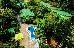 Thumbnail 31
