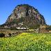 Thumbnail 13
