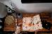 Thumbnail 240