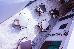Thumbnail 21
