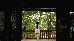 Pratasaba Resort photo 2