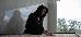 Thumbnail 104