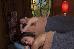 Thumbnail 33