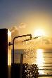 Thumbnail 404