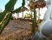 Thumbnail 28