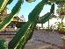 Thumbnail 29