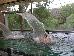 Thumbnail 36