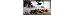 Thumbnail 17