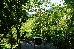 Thumbnail 74