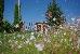Thumbnail 16