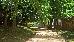 Thumbnail 25