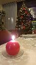 Thumbnail 24