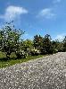 Thumbnail 22