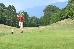 Thumbnail 28