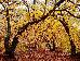 Thumbnail 68