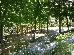 Thumbnail 55