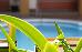 Thumbnail 117