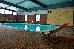 Thumbnail 65