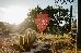 Thumbnail 60