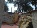 Thumbnail 25