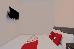 Thumbnail 17