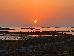Thumbnail 391