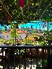 Thumbnail 73