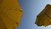 Thumbnail 35