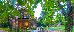 Thumbnail 39